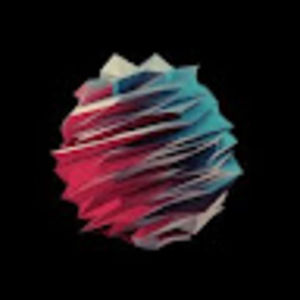 Meet your Posher, Brady